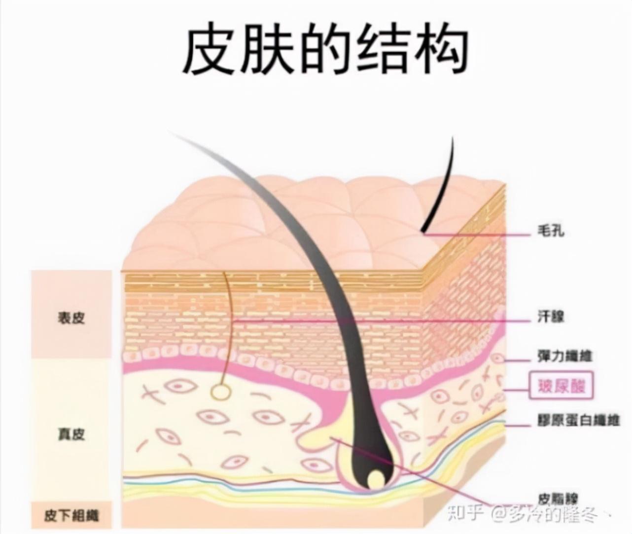 松下美容仪最新技术，重塑美丽的革命性创新产品